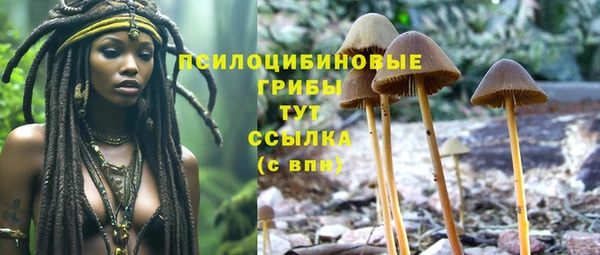 гидра Армянск